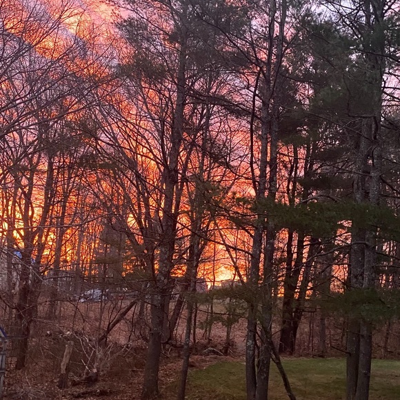 Meet your Posher, Sonya - Picture 8 of 9